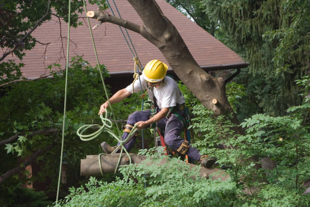 Mulching Services in Bloomingdale, GA